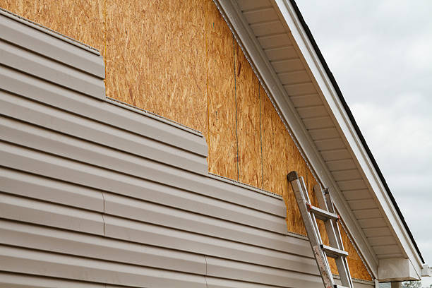 Professional Siding Replacement technician working in Locust Dale, VA